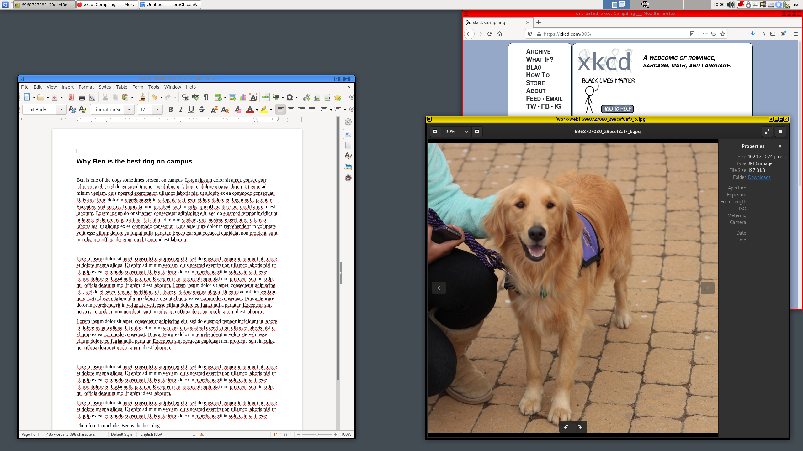r4.0-xfce-three-domains-at-work.png